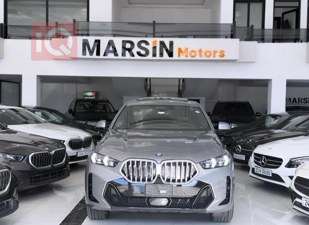 بی ئێم دەبڵیو X6